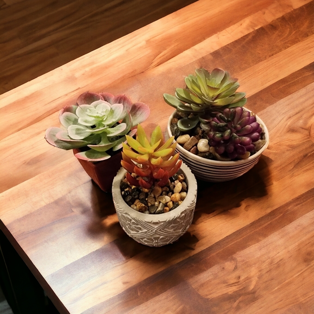 Set of 3 faux Succulents